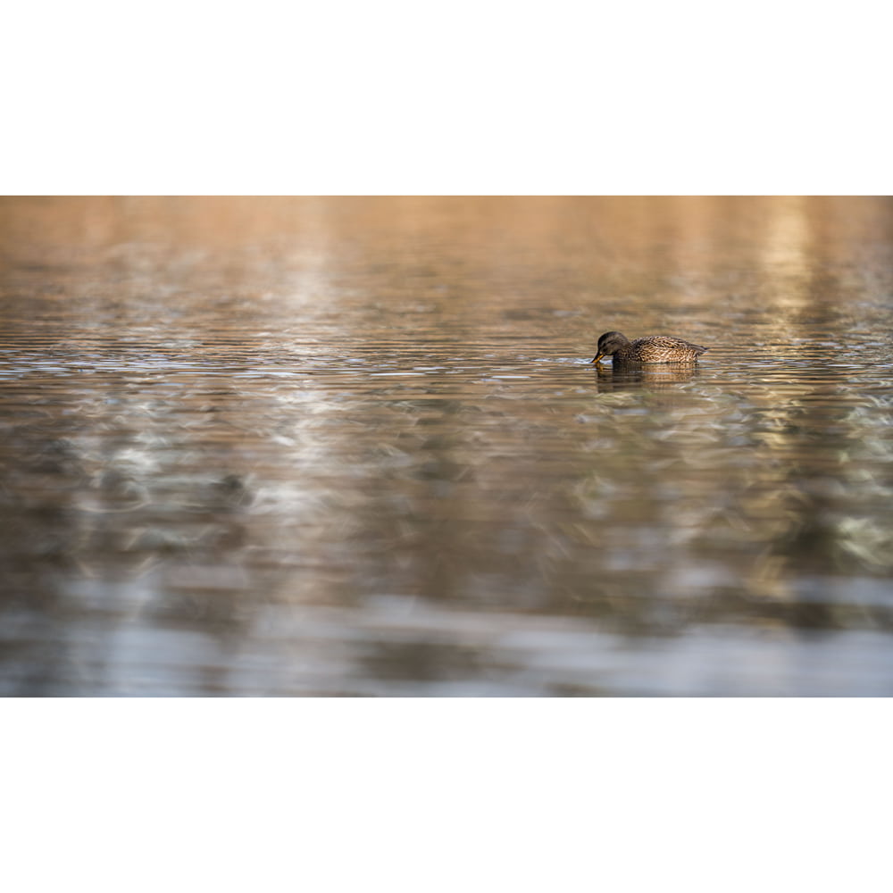 Photowalk_Sony_Lukas_Moesch_03.jpg
