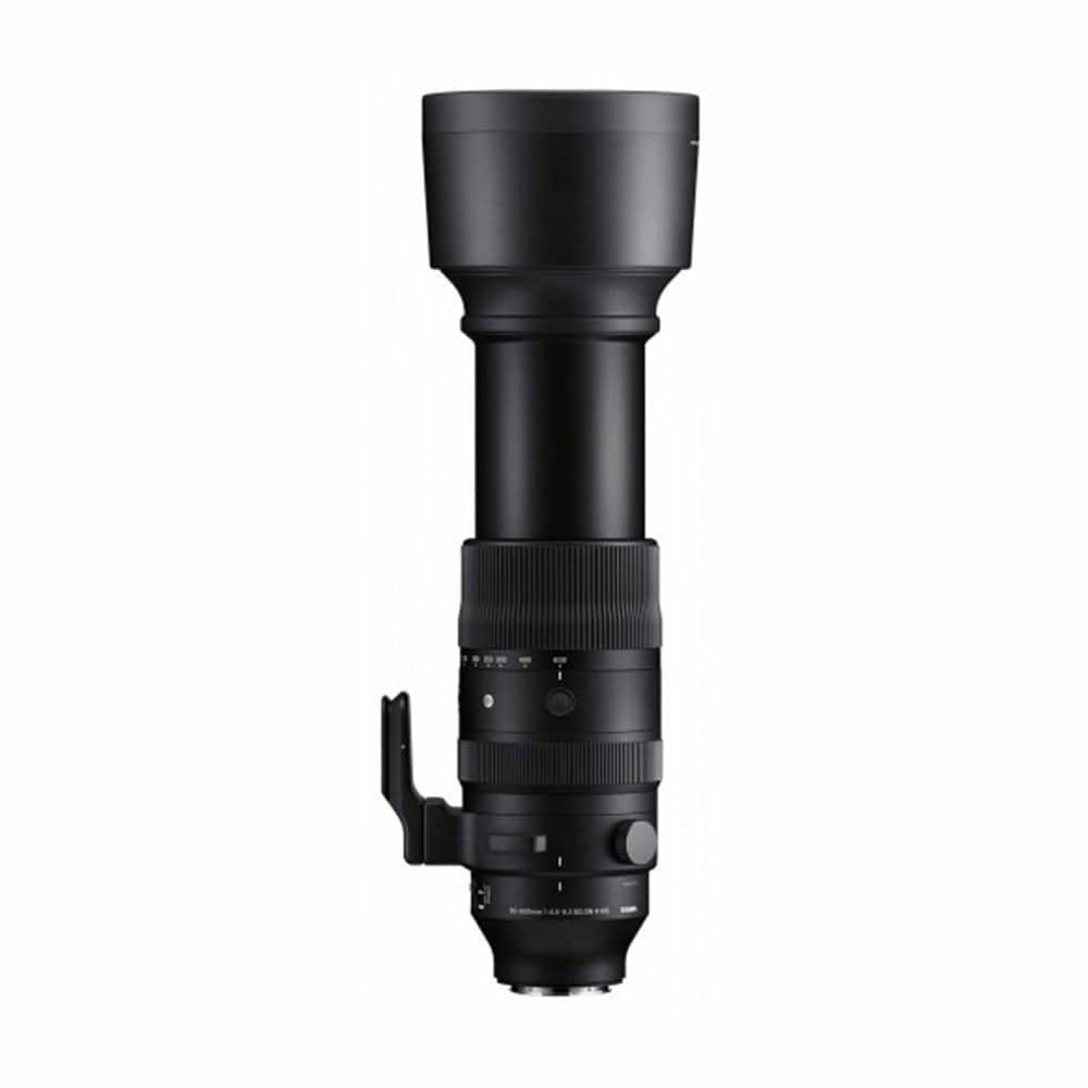Sigma_60-600mm_F45-63_DG_DN_OS_Sports_E-Mount_02.jpg