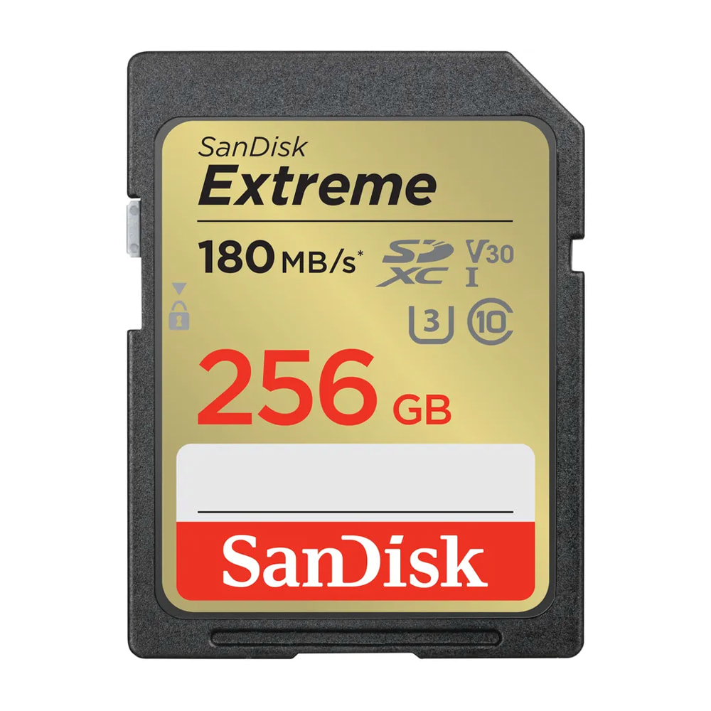 Sandisk_256_180.jpg