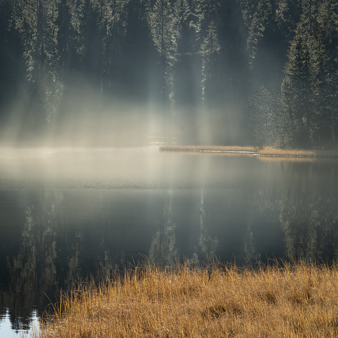 etang_7.jpg
