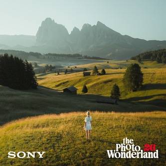 Photo_Wonderland_WS_Tin_Stinson_01.png