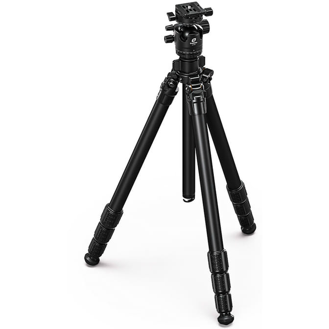 76098_1.jpg