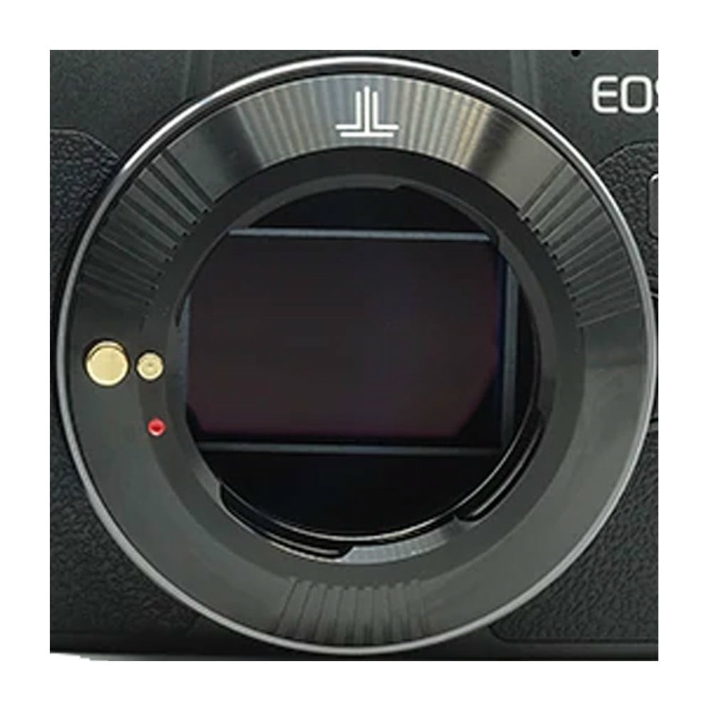 497903.jpg