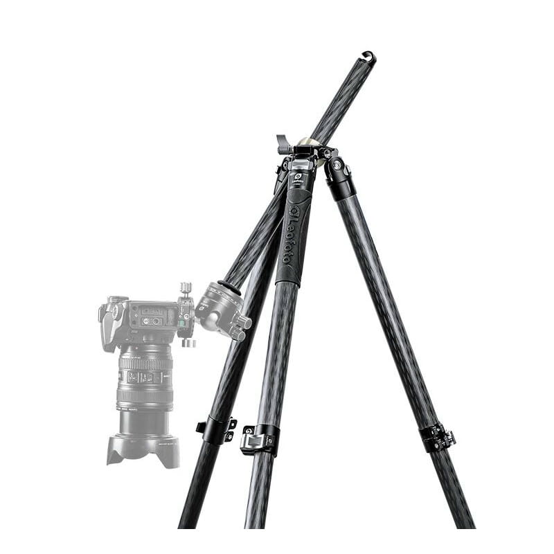 75985_4.jpg