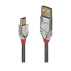 LINDY Cromo Line USB Cable USB 2.0_MiniB.jpg