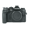 Olympus om111_1.jpg