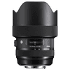 Sigma1424.jpg