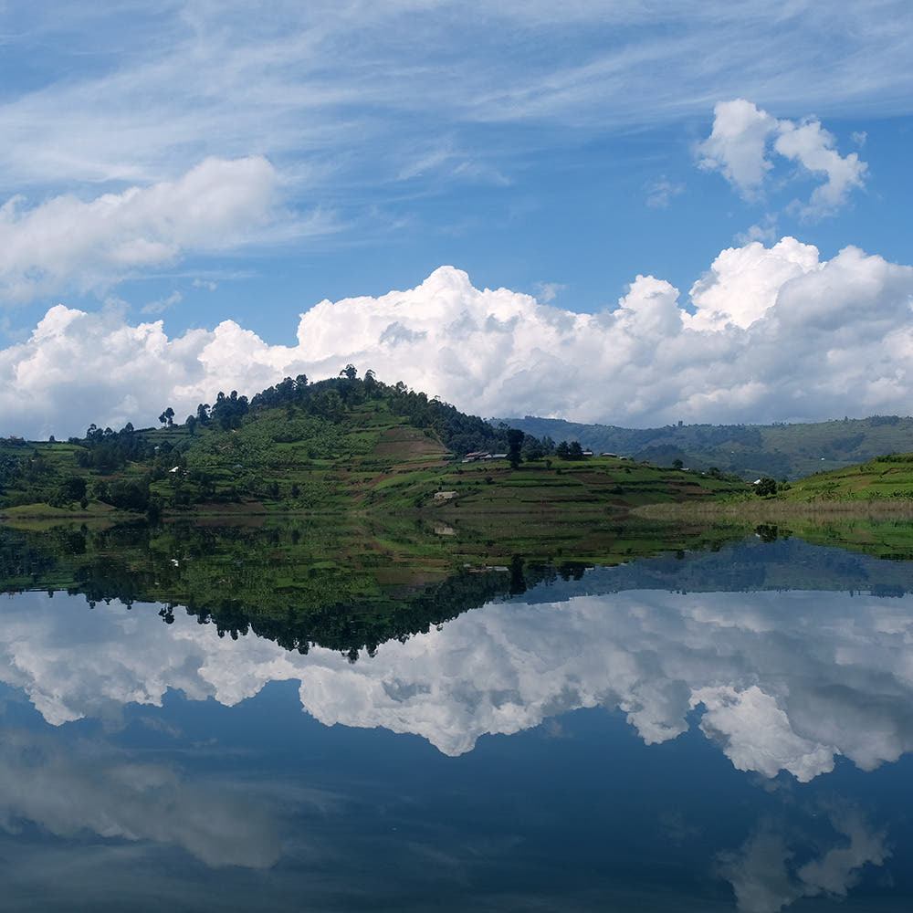 Fotoreise Uganda | zu Besuch bei den Berggorillas