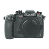 Lumix gh5s_1.jpg