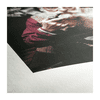 50717_3.jpeg