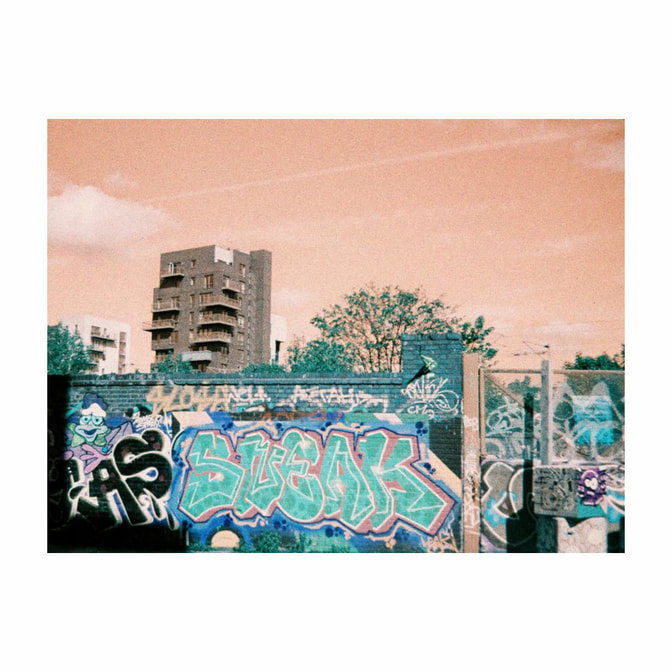 Lomo-f110tq1-02.jpg
