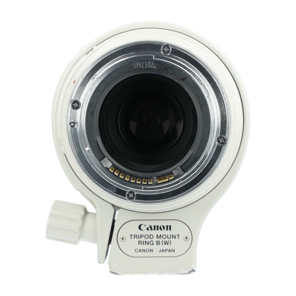 Canon EF 100-400mm F4.5-5.6 L IS USM_3.jpg