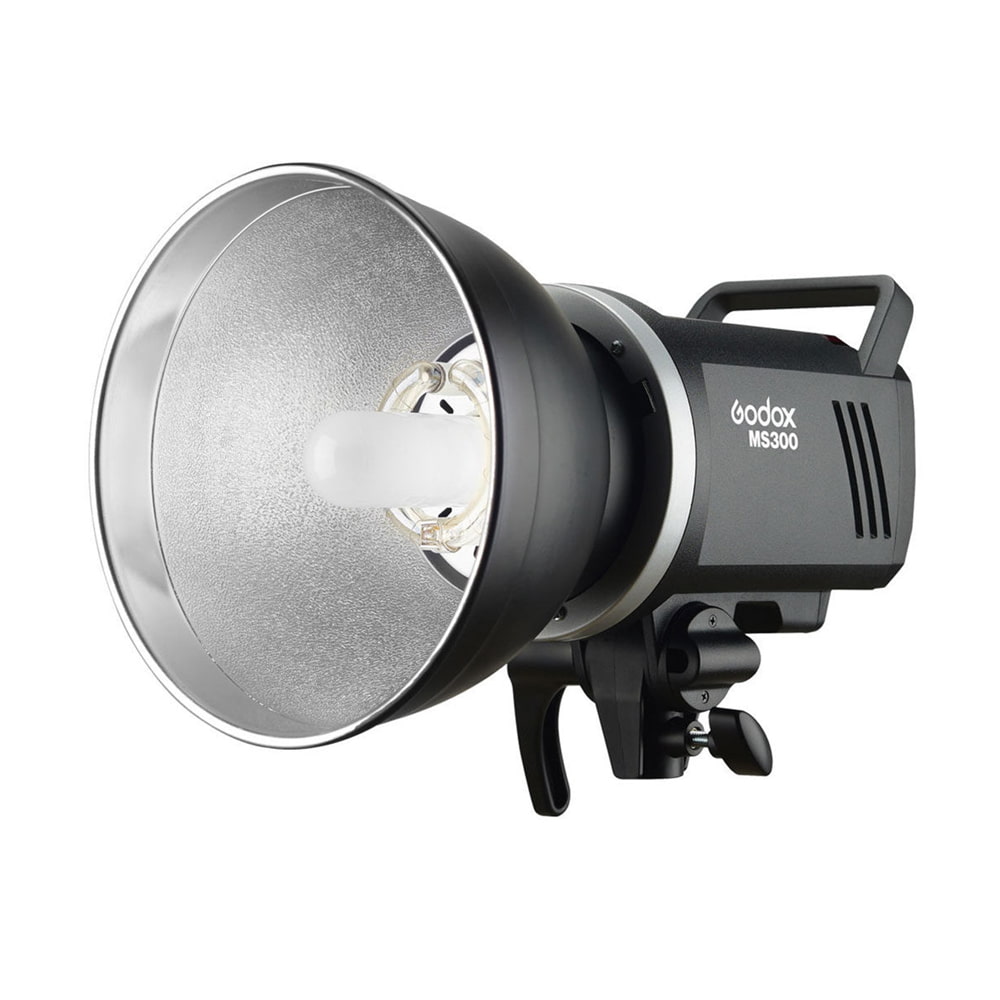 Godox MS300-D Kit_1.jpg