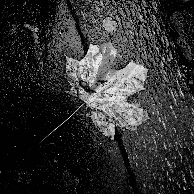 Street_BW_hart_10_5.jpg
