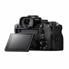 Sony_Alpha_1_06.jpg