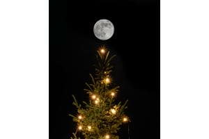 Christmas moonshine