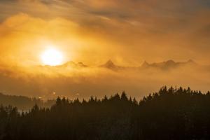 Morgenstimmung