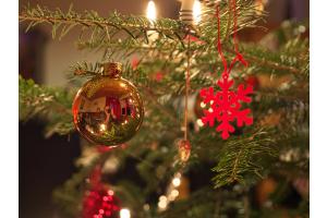 Weihnachtsbaum