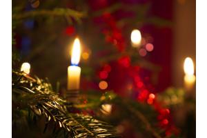 Weihnachtsbaum 2