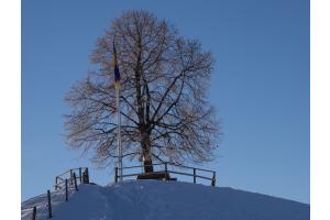 Winter / HEILIGENSCHWENDI