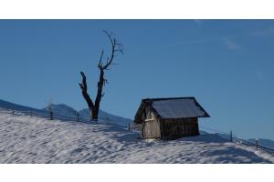 Winterbild / HEILIGENSCHWENDI