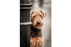 Cityshooting einmal anders 