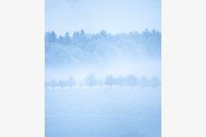 Winterstimmung Winterstimmung