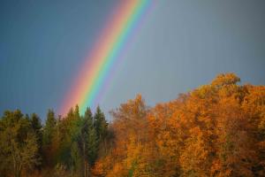 At the end of the rainbow you will find golden light on autumn leaves At the end of the rainbow you will find golden light on autumn leaves