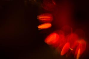 Red Ornament