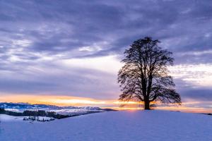 Im Emmental
