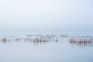 Stille am See Stille am See