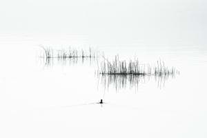 Am See Am See