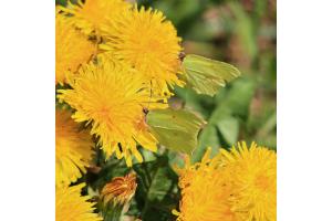 Gemeinsam Unterwegs