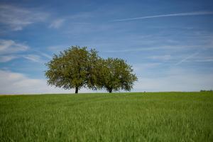 Die Ruhe in der Natur