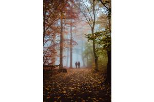 Herbst romance Herbst romance