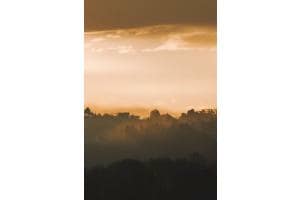 Morgenstimmung