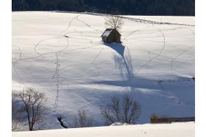 Spuren im Schnee