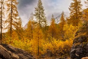 Herbstlich Herbstlich