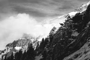 Alplandschaft