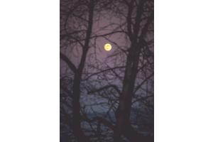 Vollmond