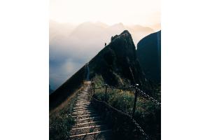 Path to freedom 