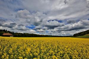 Wolkenhimmel Wolkenhimmel