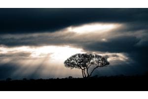Lichtstimmung über Tsavo Ost / Kenia
