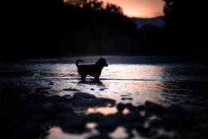 Abendwasser Abendwasser