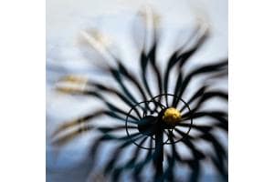 Windspiel in der Bise Windspiel in der Bise