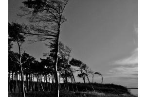 Daars an der Ostsee