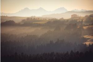 Dreigestirn im Morgennebel