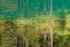 Pragser Wildsee Pragser Wildsee