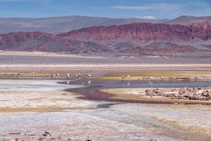Noroeste Argentino Noroeste Argentino