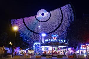 Mickey Boy